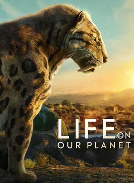 دانلود مستند Life on Our Planet 2023 حیات در سیاره ما